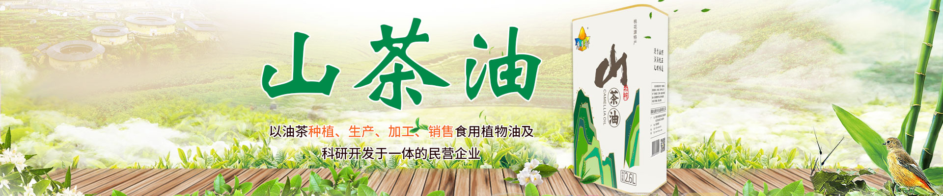 GA黄金甲_油茶种植出产加工销售|植物油种植出产加工销售 GA黄金甲_油茶种植出产加工销售|植物油种植出产加工销售