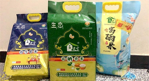 GA黄金甲,油茶种植出产加工销售,植物油种植出产加工销售
