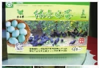 GA黄金甲,油茶种植出产加工销售,植物油种植出产加工销售 GA黄金甲,油茶种植出产加工销售,植物油种植出产加工销售